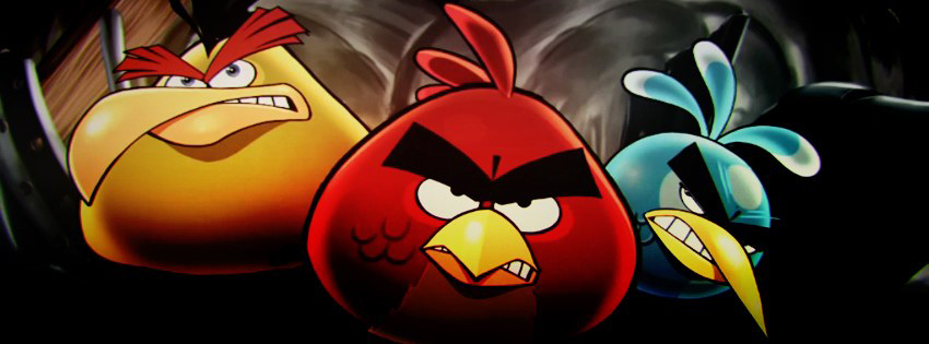 Angry Birds facebook kapak cover