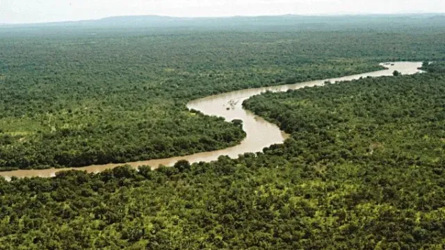 Gambia Irmağı
