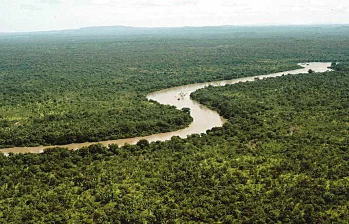 Gambia ırmağı Gambia ırmağı