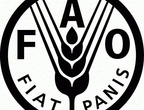 Gıda ve Tarım Örgütü – FAO