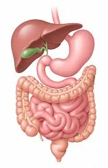 Gastroenteroloji