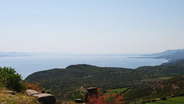 Ege Bölgesi