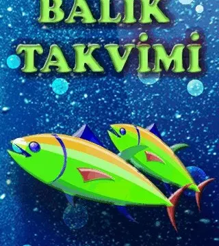 Hangi Ayda Hangi Balık Yenmeli