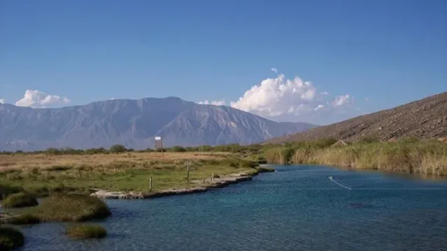 Coahuila Hakkında Bilgi