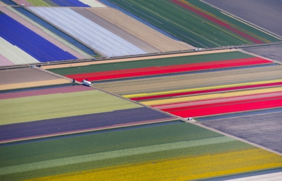 keukenhof-parki-hollanda