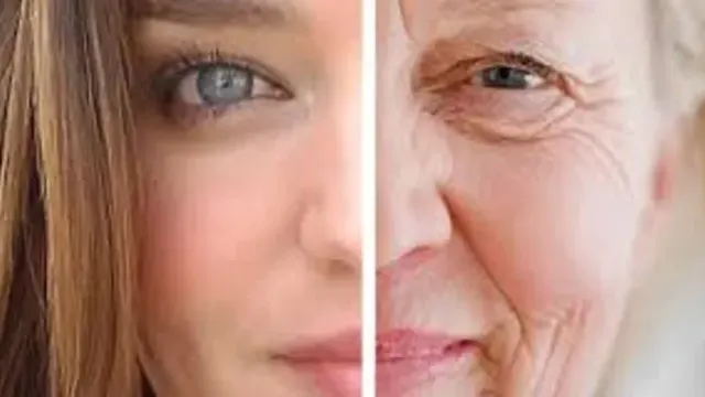 Badem Yağı Kreminin Cilde Fayfaları