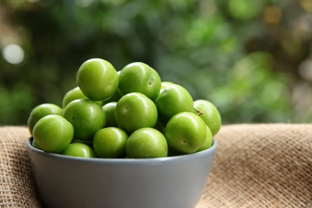 yesil-erigin-tuketmen-faydalari-7